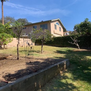 Grow Control Landscape - Back yard after the clear out - Landscaping Near Me