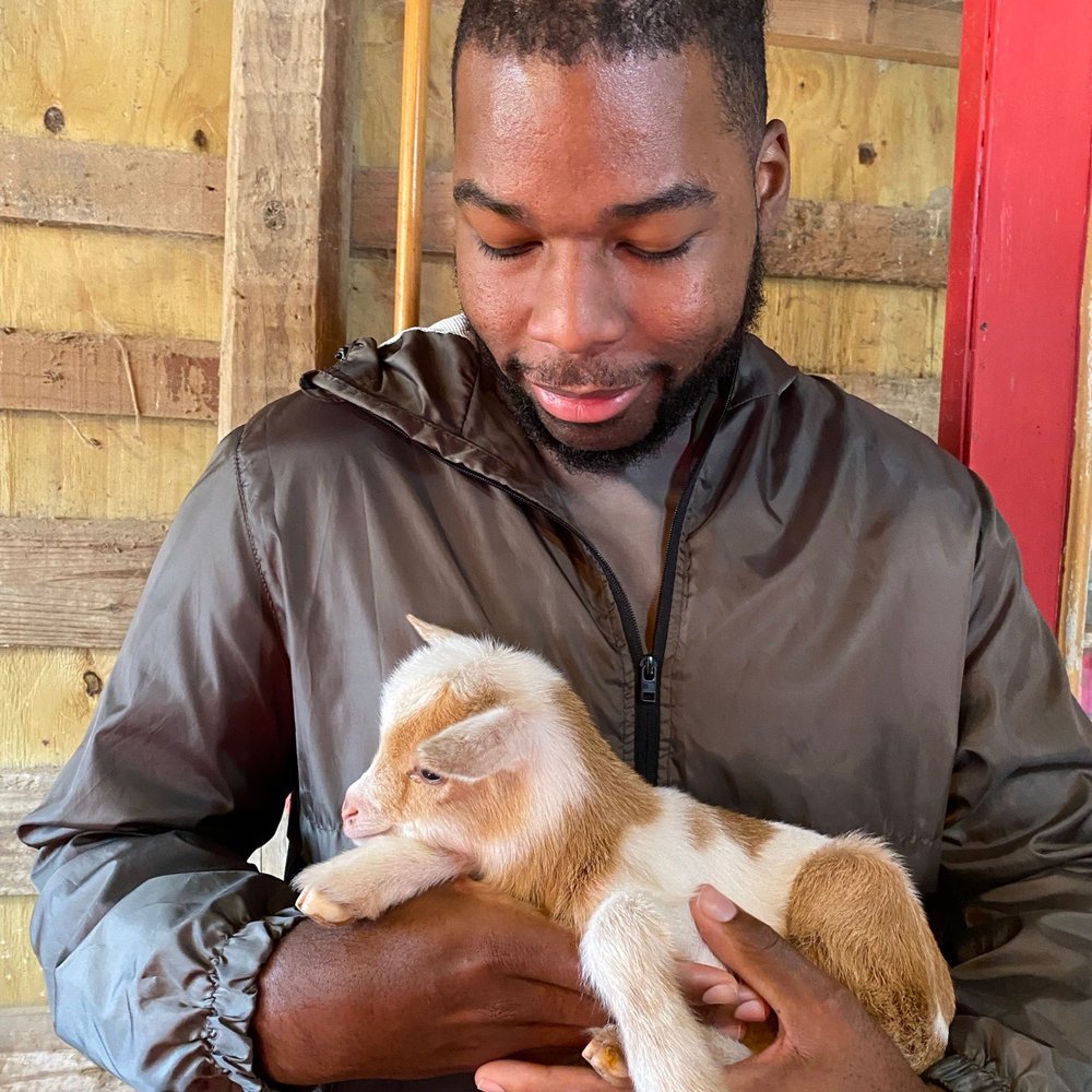 シャツ Supreme Star Football Jersey \