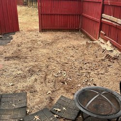R&R Tree Service - Large oak tree removed and stump grind
