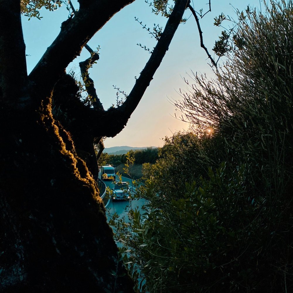 Villa Giorgia - View - Hotels Near Me - Pistoia, PT