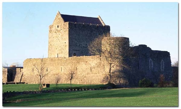 Athenry Castle by null
