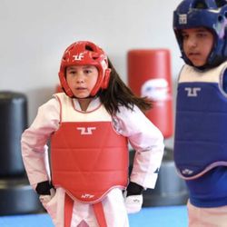 Everest Taekwondo - Troy
