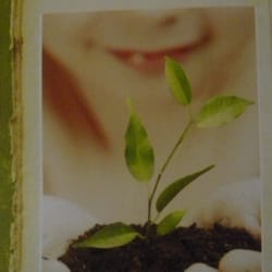 A Different Stroke Wellness Company - Very Vegan Skin Care Products