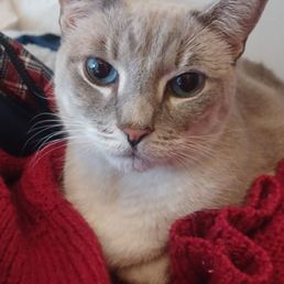 Lily says "Thank you!"