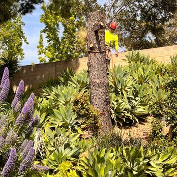Mombacho Landscaping - Landscaping Near Me - RCHO SANTA FE, California Mombacho Landscaping - Landscaping Near Me - RCHO SANTA FE, California