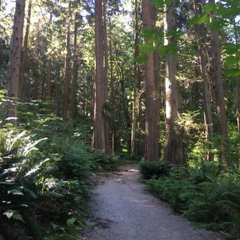 Admiralty Point - The first part of the trail is very flat and smooth. - Hiking Near Me - Belcarra, British Columbia