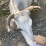 Photo of The Preserve