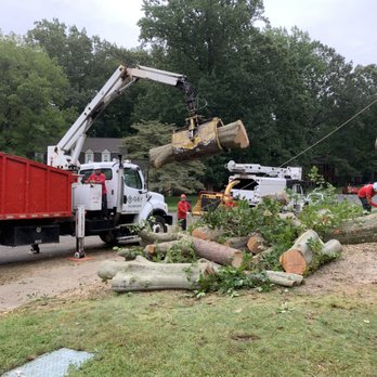 G&V Tree Service - Beech Tree wood removal with Grapple truck in Montclair VA. - Tree Services Near Me - Springfield, Virginia G&V Tree Service - Beech Tree wood removal with Grapple truck in Montclair VA. - Tree Services Near Me - Springfield, Virginia