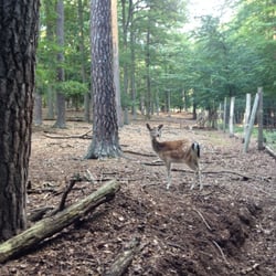 Wildpark