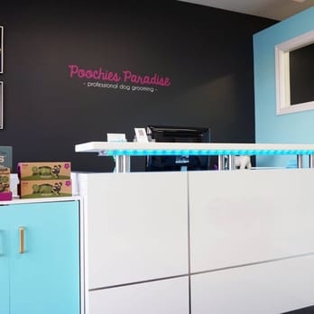 Poochies Paradise Spa - Pet Sitting Near Me - Markham, Ontario Poochies Paradise Spa - Pet Sitting Near Me - Markham, Ontario
