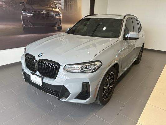 Bulldog Auto Detailing - Temple