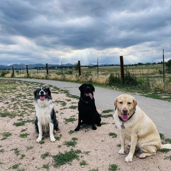 Chatfield State Park - Beautiful views - Parks Near Me - Littleton, Colorado Chatfield State Park - Beautiful views - Parks Near Me - Littleton, Colorado