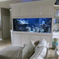 Aquaria Services