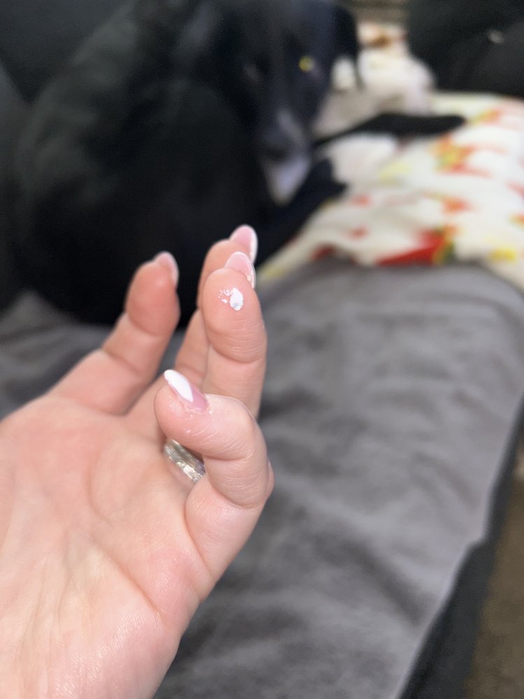 BLUSH NAIL LOUNGE Updated October 2024 24 Photos & 24 Reviews