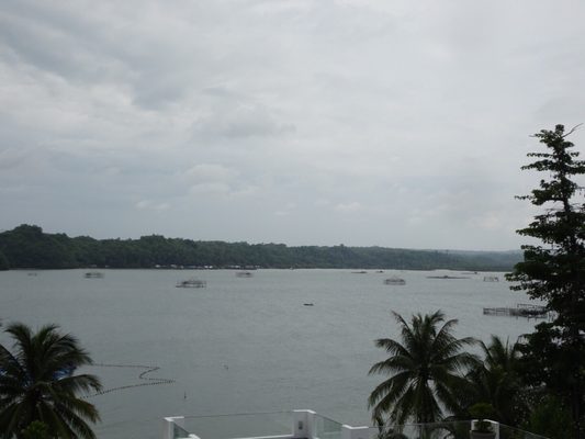 La Puerta Al Paraizo Resort by null