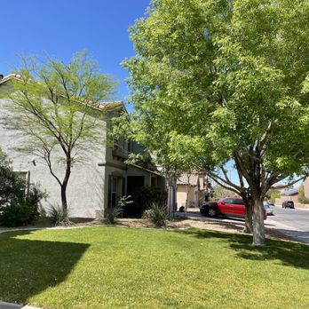 WestCo Tree Service - After - Tree Services Near Me WestCo Tree Service - After - Tree Services Near Me