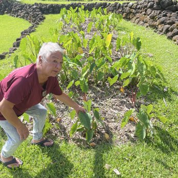 Limahuli Garden and Preserve - Our guide explaining some of the early farming techniques - Botanical Gardens Near Me - Haena, Hawaii Limahuli Garden and Preserve - Our guide explaining some of the early farming techniques - Botanical Gardens Near Me - Haena, Hawaii