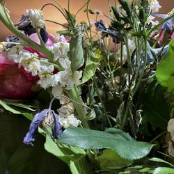 New England Gardens - Wilting flowers