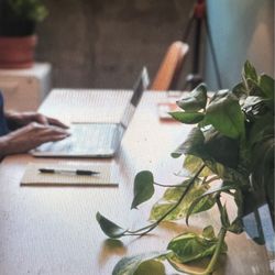 Forward Wellness Therapy - Therapy room and office
