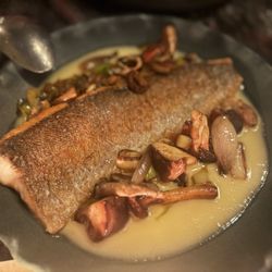 Trout