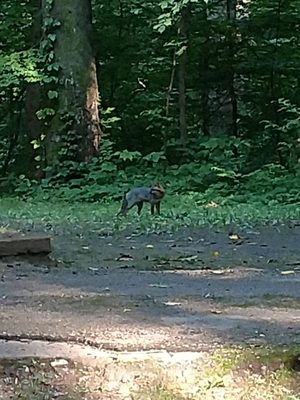 Meeman Shelby Forest State Park 910 Riddick Rd Millington Tn