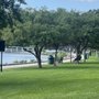 Photo of Elm Park