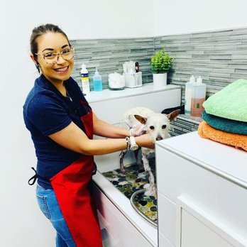 Jackson's Place Unleashed Pet Resort - Pet Groomers Near Me - Houston, Texas Jackson's Place Unleashed Pet Resort - Pet Groomers Near Me - Houston, Texas