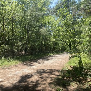 Calvert Cliffs State Park - Parks Near Me