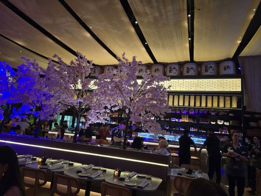 Paperfish Sushi by null