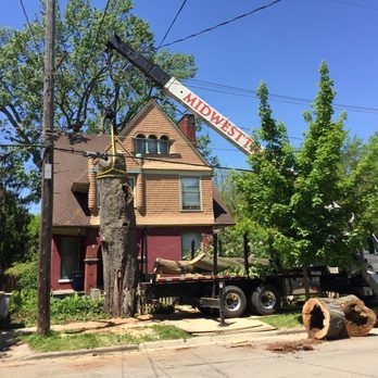 Midwest Tree Service - Tree Removal - Tree Services Near Me - Charlotte, Michigan Midwest Tree Service - Tree Removal - Tree Services Near Me - Charlotte, Michigan