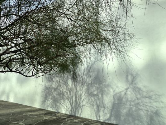 Noguchi Garden by null