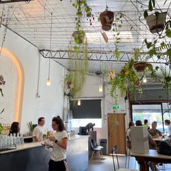 Poor Toms Gin Hall - Bar