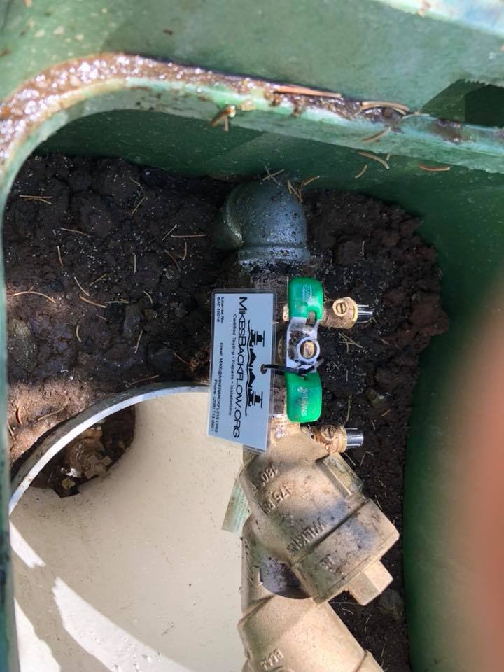 Slide of Mike's Backflow