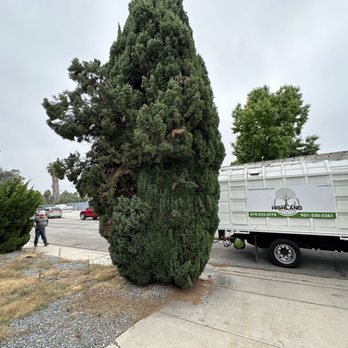 Highland Tree Care - Tree Services Near Me - Escondido, California Highland Tree Care - Tree Services Near Me - Escondido, California