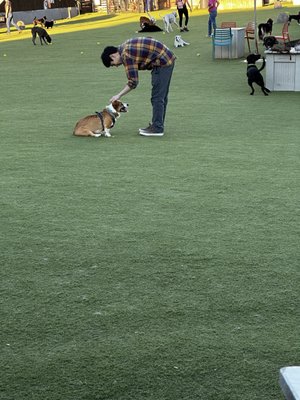 Fetch Park O4W by null