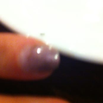 Joseph Filippi Winery - okay this is blurry but there was an ANT!!!! ughh not a fan right now - Wineries Near Me - Rancho Cucamonga, California Joseph Filippi Winery - okay this is blurry but there was an ANT!!!! ughh not a fan right now - Wineries Near Me - Rancho Cucamonga, California
