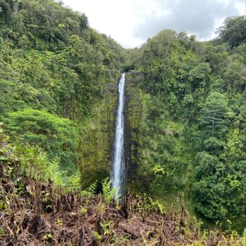Akaka Falls State Park - Spectacular falls - Parks Near Me - Honomu, Hawaii