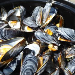 La Régate Moulerie - Moules creme fraiche