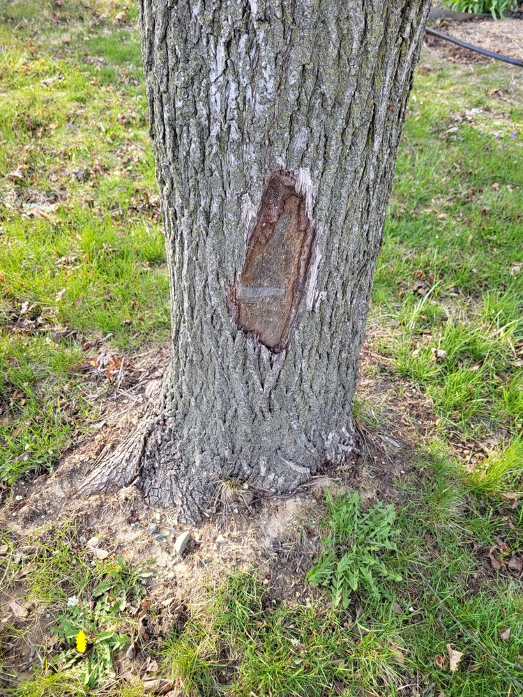 Slide of ARS Rescue Rooter