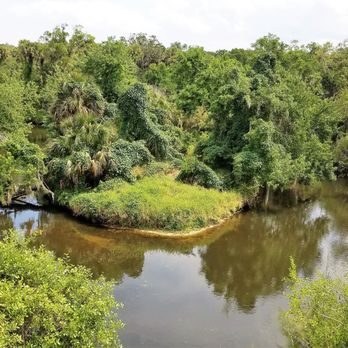 Turkey Creek Sanctuary - View from the boardwalk. - Parks Near Me - Palm Bay, Florida Turkey Creek Sanctuary - View from the boardwalk. - Parks Near Me - Palm Bay, Florida