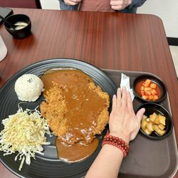 Katsu City - King Katsu size compared to my hand- 2xs the size of my hand!!