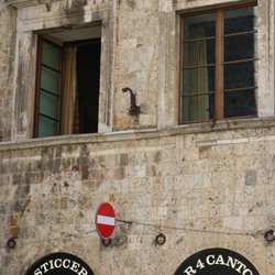 Bar 4 Cantoni