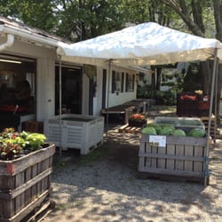 Matarazzo's Farm