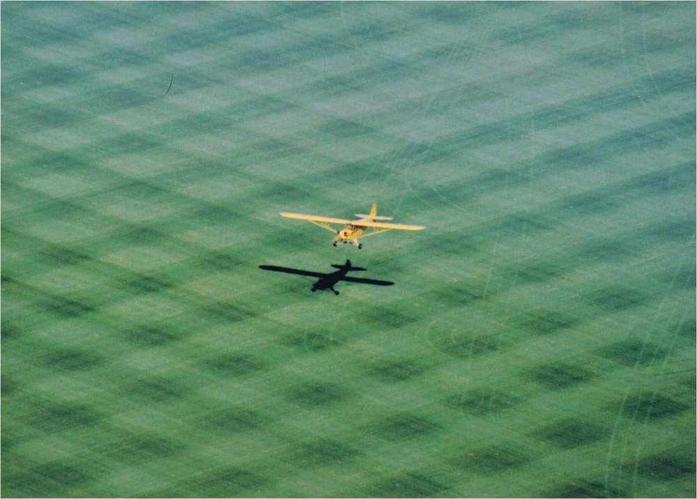 Dahle Sod Farms - beekeeping in Morristown, MN