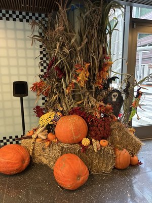 Pod Brooklyn Hotel by null