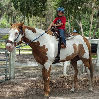 Angel's Appy Acres - Our horses love kids and kids love our horses! - Horseback Riding Near Me - Vero Beach, Florida