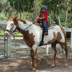 Angel's Appy Acres - Our horses love kids and kids love our horses!