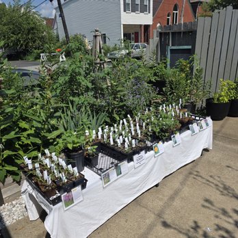 Rust Belt Natives - Nurseries & Gardening Near Me