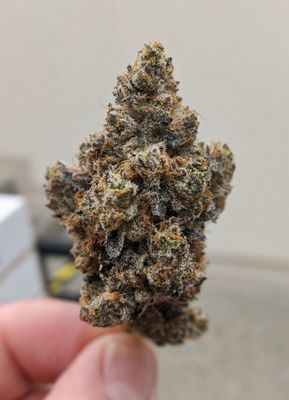 Coastal Dispensary Santa Barbara by null