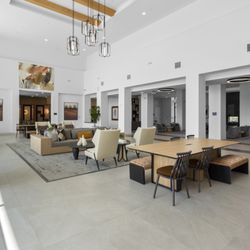 The Venue at Orange by Cannon Property Management